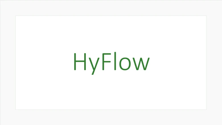 Auf weißem Hintergrund steht in grüner Schrift der Begriff ‚HyFlow'‘